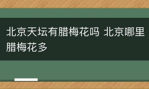 北京天坛有腊梅花吗 北京哪里腊梅花多