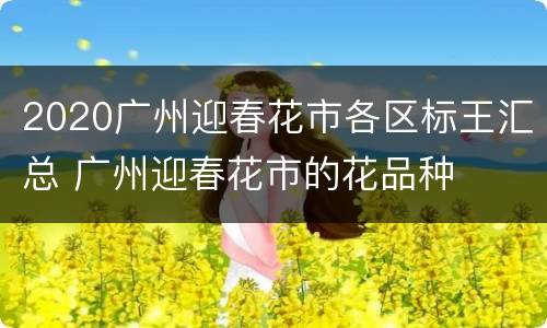 2020广州迎春花市各区标王汇总 广州迎春花市的花品种
