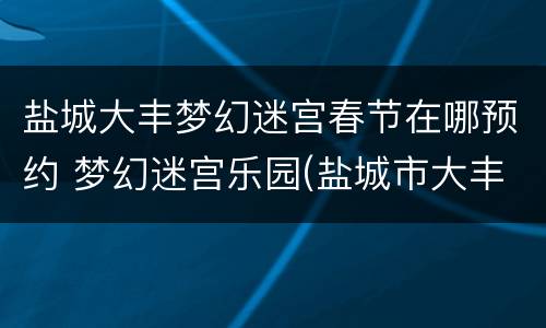 盐城大丰梦幻迷宫春节在哪预约 梦幻迷宫乐园(盐城市大丰区旅游攻略