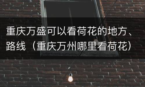 重庆万盛可以看荷花的地方、路线（重庆万州哪里看荷花）