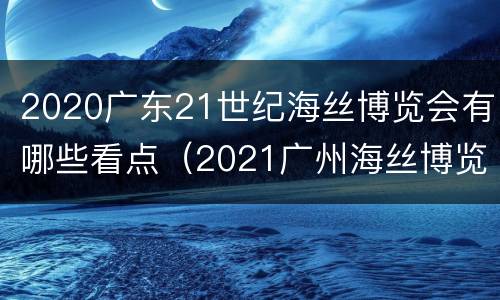 2020广东21世纪海丝博览会有哪些看点（2021广州海丝博览会）