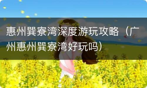 惠州巽寮湾深度游玩攻略（广州惠州巽寮湾好玩吗）
