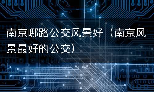 南京哪路公交风景好（南京风景最好的公交）