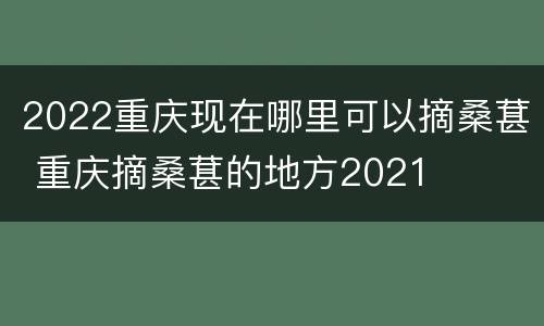 2022重庆现在哪里可以摘桑葚 重庆摘桑葚的地方2021