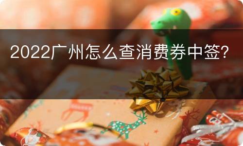 2022广州怎么查消费券中签？