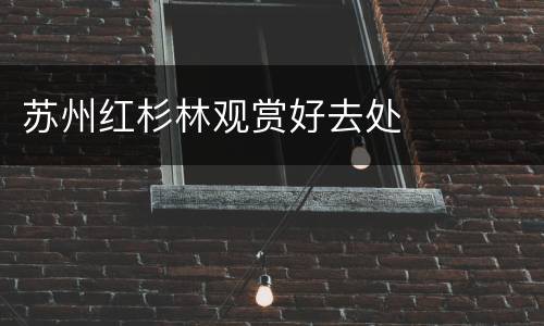 苏州红杉林观赏好去处