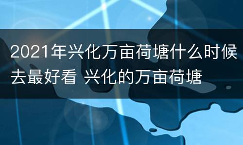 2021年兴化万亩荷塘什么时候去最好看 兴化的万亩荷塘