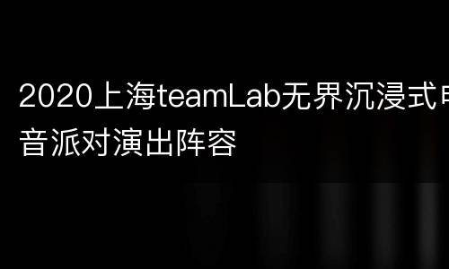 2020上海teamLab无界沉浸式电音派对演出阵容