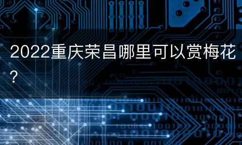 2022重庆荣昌哪里可以赏梅花？