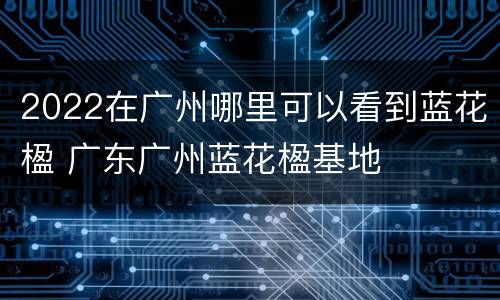 2022在广州哪里可以看到蓝花楹 广东广州蓝花楹基地