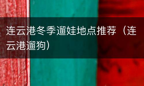 连云港冬季遛娃地点推荐（连云港遛狗）