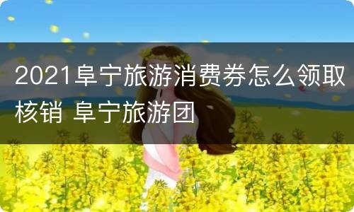 2021阜宁旅游消费券怎么领取核销 阜宁旅游团