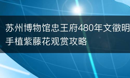 苏州博物馆忠王府480年文徵明手植紫藤花观赏攻略