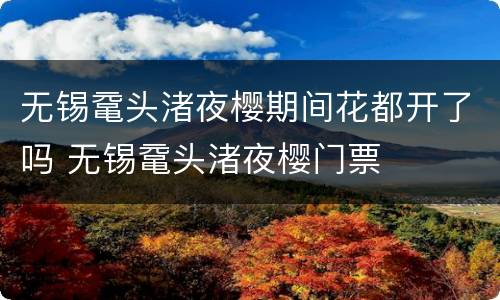 无锡鼋头渚夜樱期间花都开了吗 无锡鼋头渚夜樱门票