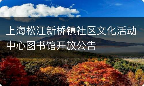 上海松江新桥镇社区文化活动中心图书馆开放公告