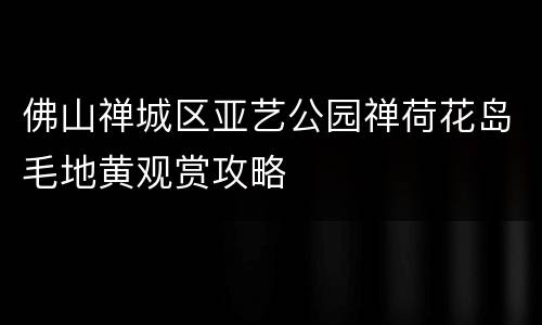 佛山禅城区亚艺公园禅荷花岛毛地黄观赏攻略