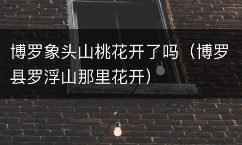 博罗象头山桃花开了吗（博罗县罗浮山那里花开）