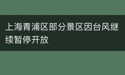 上海青浦区部分景区因台风继续暂停开放