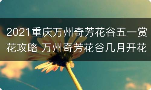 2021重庆万州奇芳花谷五一赏花攻略 万州奇芳花谷几月开花