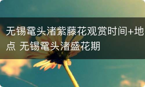 无锡鼋头渚紫藤花观赏时间+地点 无锡鼋头渚盛花期