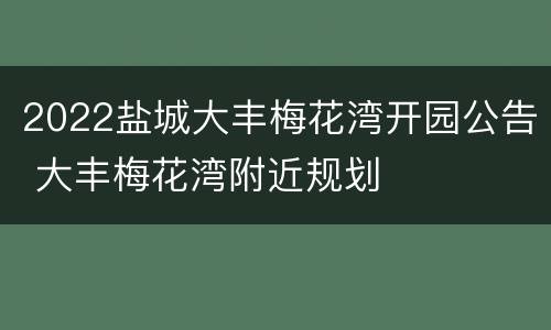 2022盐城大丰梅花湾开园公告 大丰梅花湾附近规划