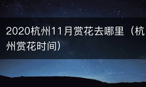2020杭州11月赏花去哪里（杭州赏花时间）