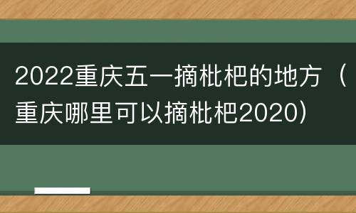 2022重庆五一摘枇杷的地方（重庆哪里可以摘枇杷2020）