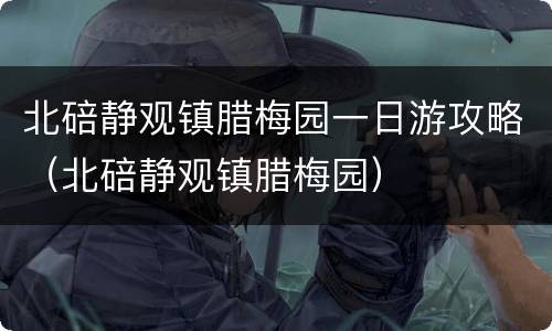北碚静观镇腊梅园一日游攻略（北碚静观镇腊梅园）