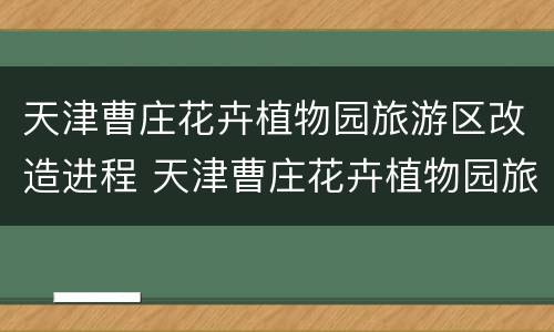 天津曹庄花卉植物园旅游区改造进程 天津曹庄花卉植物园旅游区改造进程图