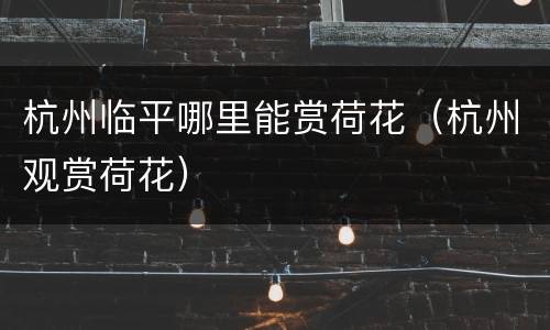 杭州临平哪里能赏荷花（杭州观赏荷花）