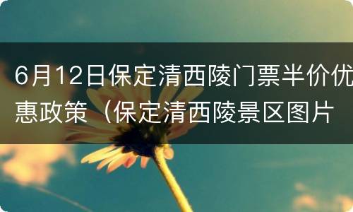 6月12日保定清西陵门票半价优惠政策（保定清西陵景区图片）