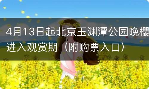 4月13日起北京玉渊潭公园晚樱进入观赏期（附购票入口）