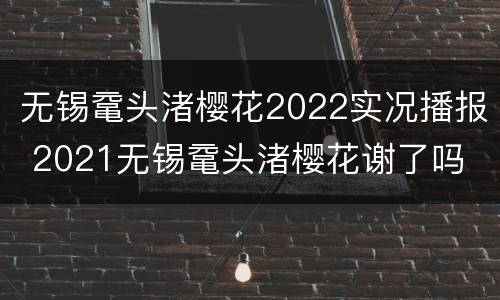 无锡鼋头渚樱花2022实况播报 2021无锡鼋头渚樱花谢了吗