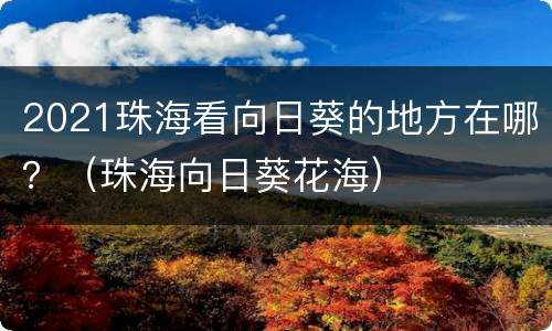 2021珠海看向日葵的地方在哪？（珠海向日葵花海）