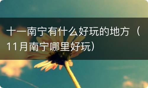 十一南宁有什么好玩的地方（11月南宁哪里好玩）