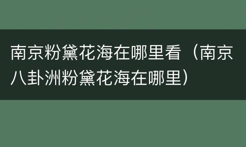 南京粉黛花海在哪里看（南京八卦洲粉黛花海在哪里）