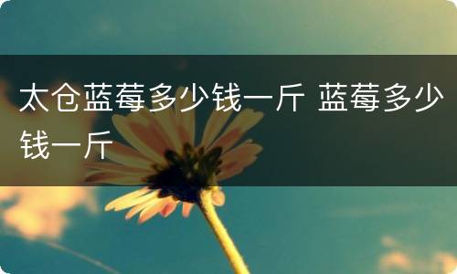 太仓蓝莓多少钱一斤 蓝莓多少钱一斤