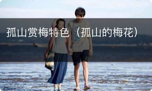 孤山赏梅特色（孤山的梅花）