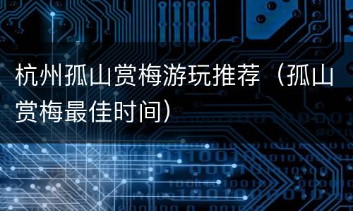 杭州孤山赏梅游玩推荐（孤山赏梅最佳时间）