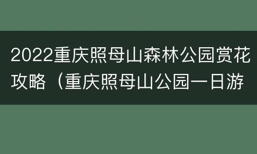 2022重庆照母山森林公园赏花攻略（重庆照母山公园一日游）