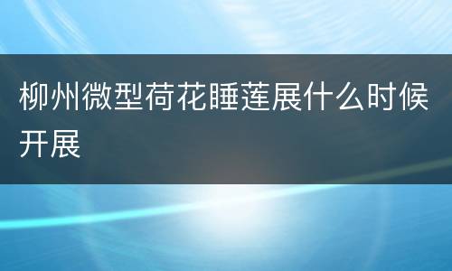 柳州微型荷花睡莲展什么时候开展