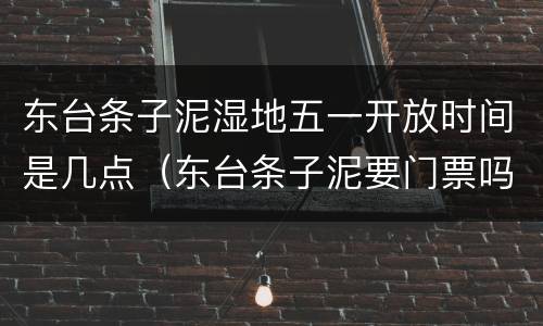 东台条子泥湿地五一开放时间是几点（东台条子泥要门票吗）