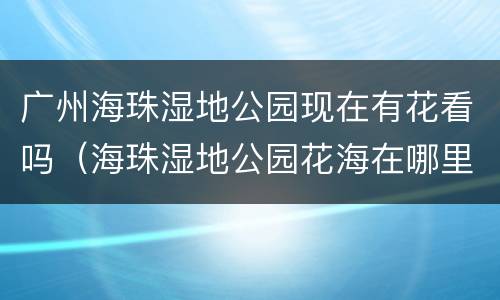 广州海珠湿地公园现在有花看吗（海珠湿地公园花海在哪里）