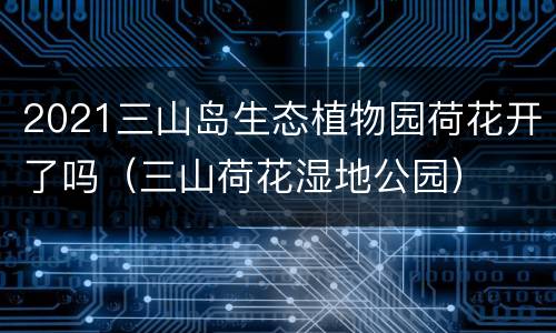 2021三山岛生态植物园荷花开了吗（三山荷花湿地公园）