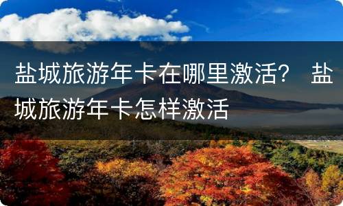 盐城旅游年卡在哪里激活？ 盐城旅游年卡怎样激活