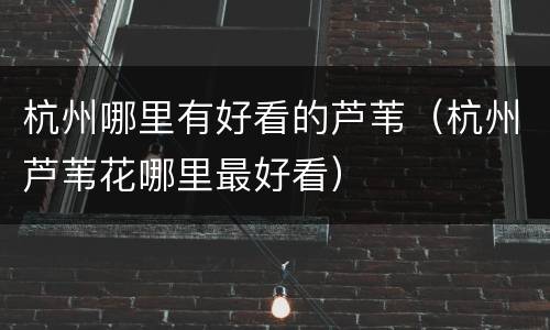 杭州哪里有好看的芦苇（杭州芦苇花哪里最好看）