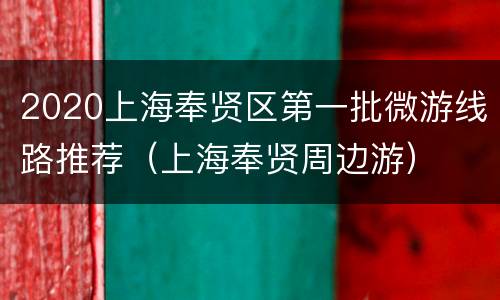 2020上海奉贤区第一批微游线路推荐（上海奉贤周边游）