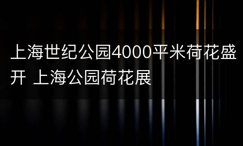 上海世纪公园4000平米荷花盛开 上海公园荷花展
