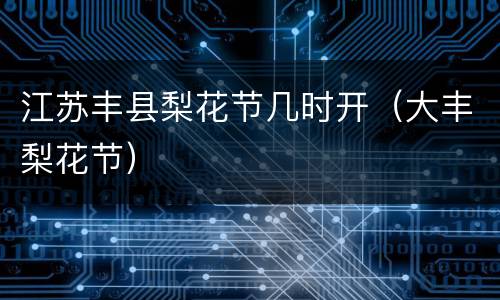 江苏丰县梨花节几时开（大丰梨花节）