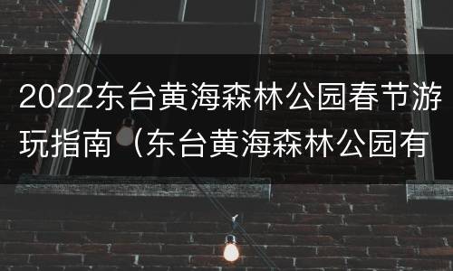 2022东台黄海森林公园春节游玩指南（东台黄海森林公园有什么好玩的）